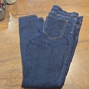 GAP Blue Skinny Jeans Classic Denim